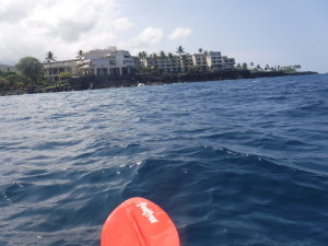 Sheraton from Kayak