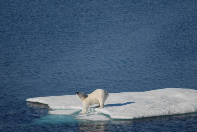 breaking the ice