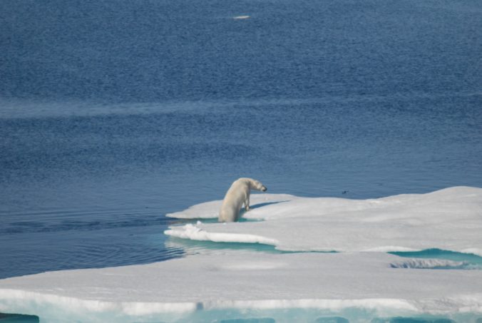 larger ice floe