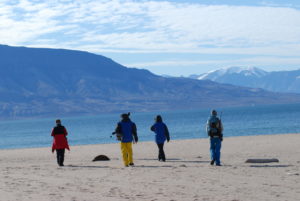 Beach Walk