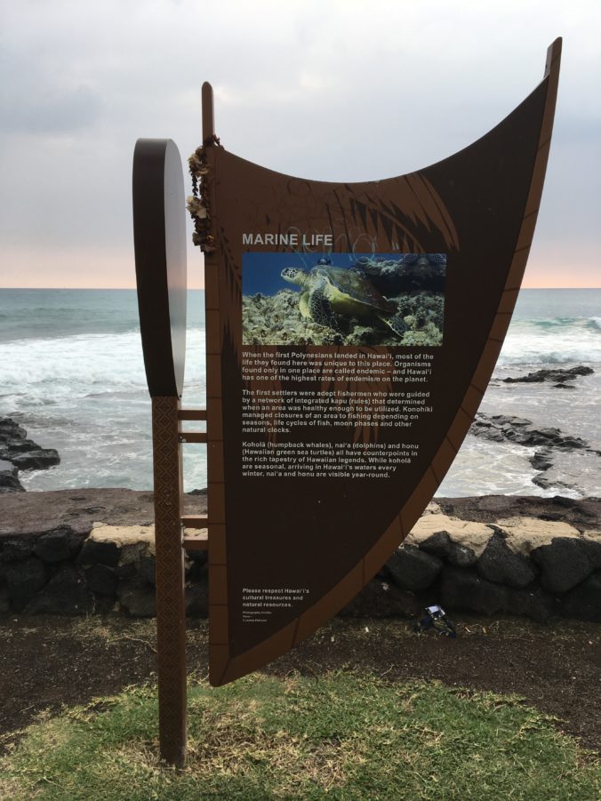 Sign Shaped Like a Traditional Canoe Sail Describes Marine Life of Kona Coast