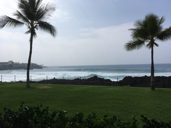 Surf Framed by Palms in Kona