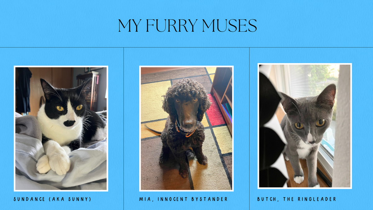 Pets: My Furry Muses